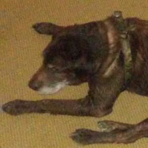 Meet your Posher, Bradley